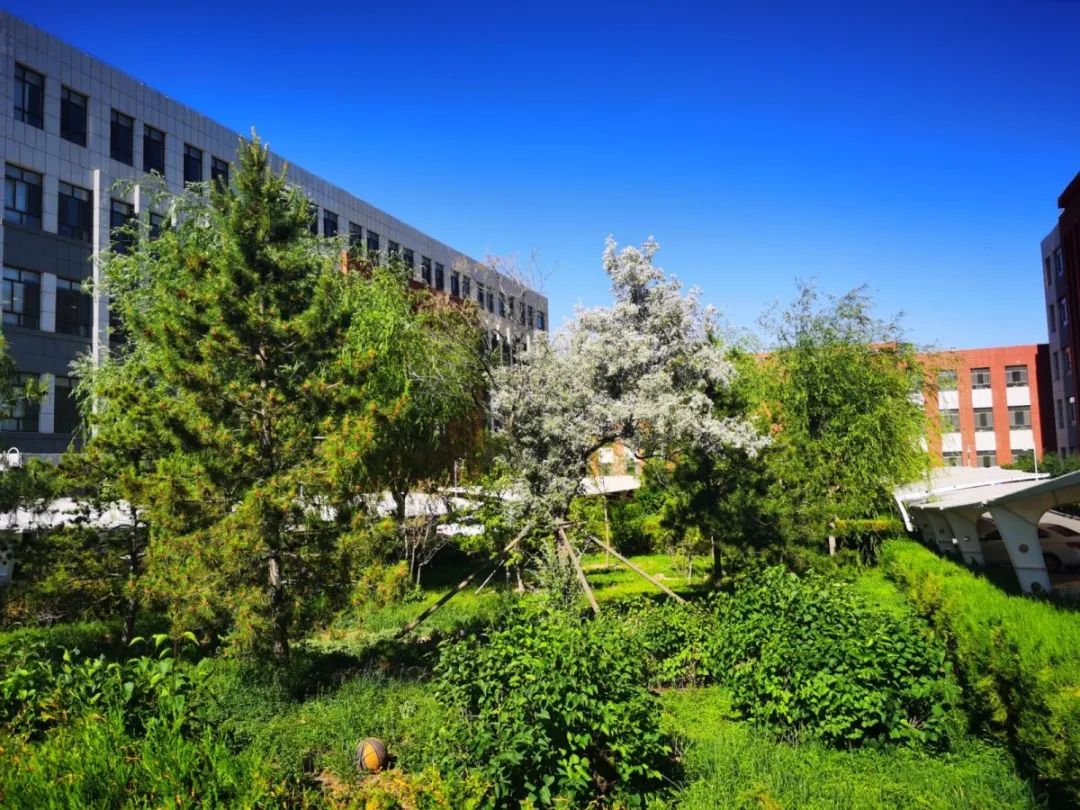 遇见三中邂逅美好