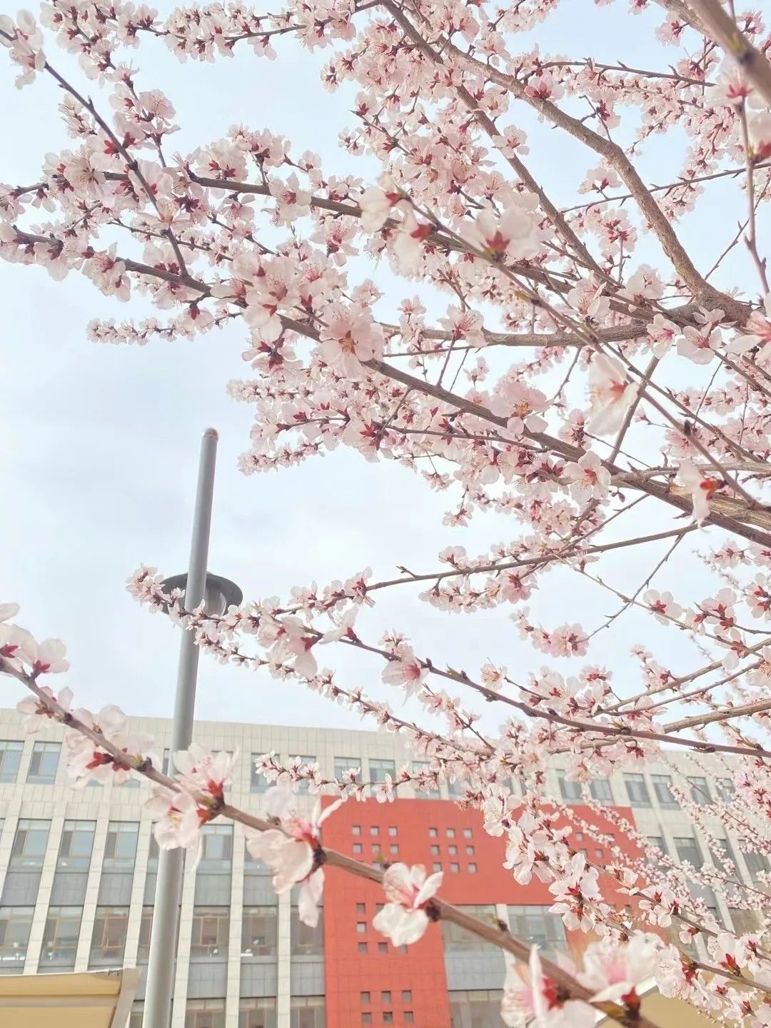 遇见三中邂逅美好