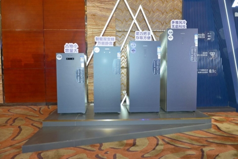 澳柯玛立式冷柜是双变频吗,澳柯玛立式冷柜温度调节视频教程