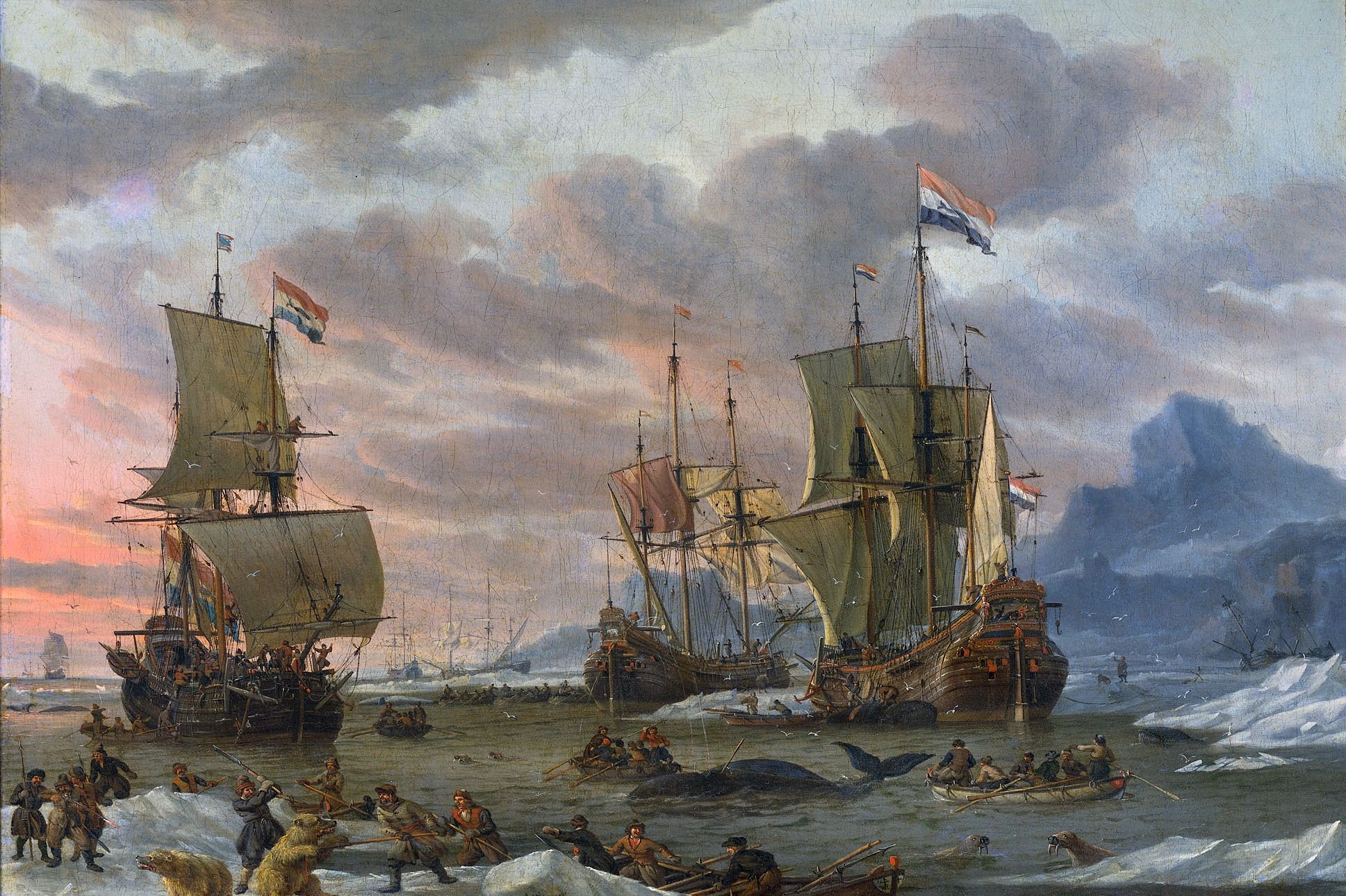 19世纪捕鲸人与海洋的血腥斗争,揭秘19世纪捕鲸人