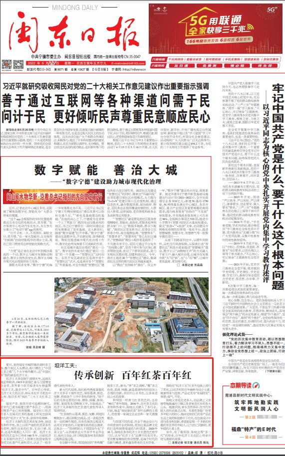 坦洋工夫红茶非遗,高品质坦洋工夫红茶