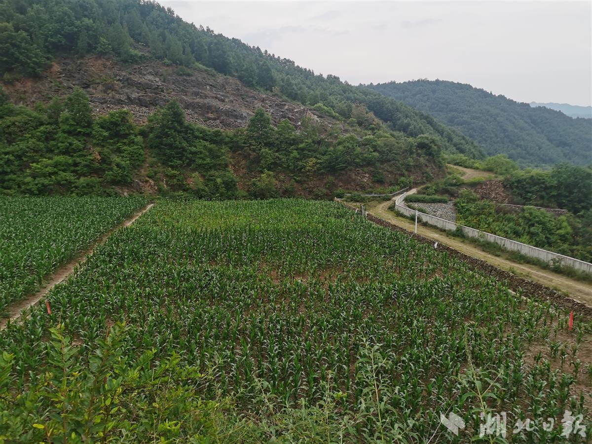 安全与“绿色”并驾齐驱，利用与富民结伴而行——十堰市74座闭（销）库尾矿库绿色转型调查