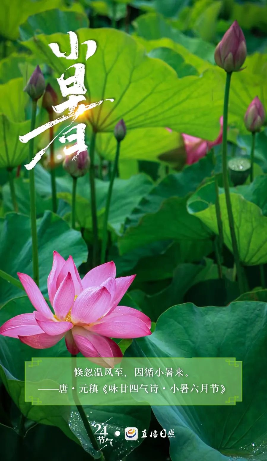 来了，就在今天10时38分