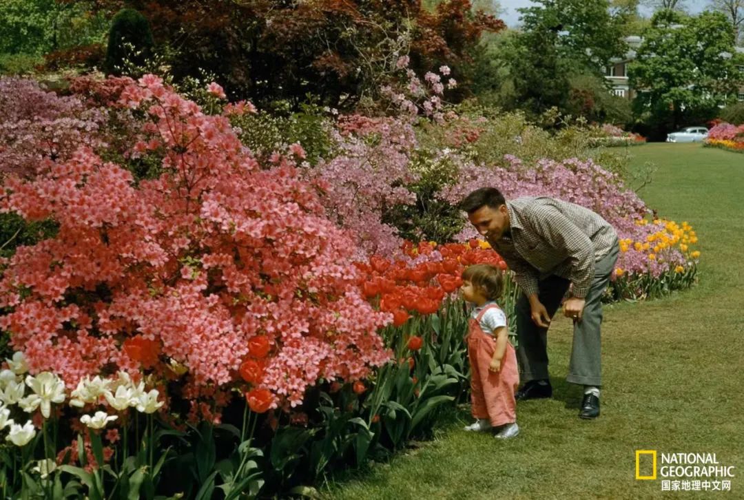 100张最伟大的体育照片,100张有史以来最伟大的照片