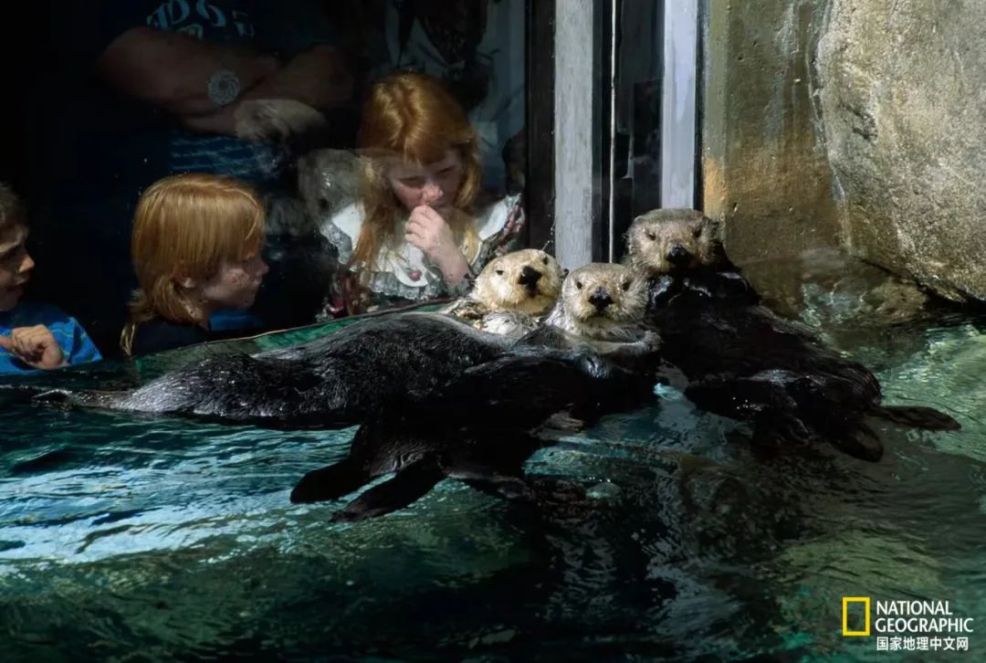 电影诞生以来最伟大的30部作品,最伟大的作品详解