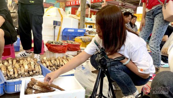 野生菌交易市场视频,野生菌基地直播带货