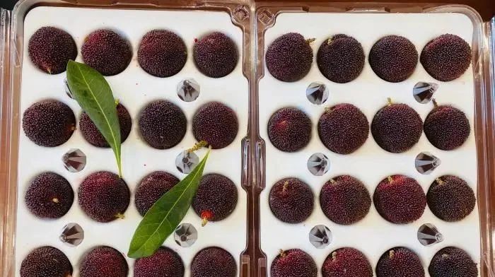 荔枝的鄙视链,荔枝100元一颗