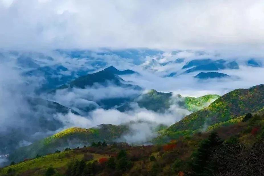 湖北最美四大县城,湖北省最美的风景区排前15名