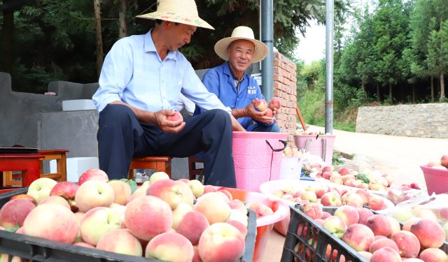 云南曲靖富源煤炭基地,曲靖富源近年来的变化
