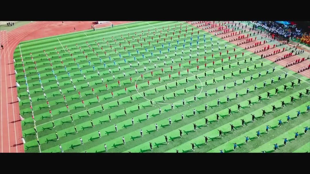 致敬品牌·献礼二十大：（91）“三平台一体化”体育综合育人实践——青岛科技大学