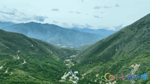 罕见！大围山红河苏铁雌雄花同季绽放