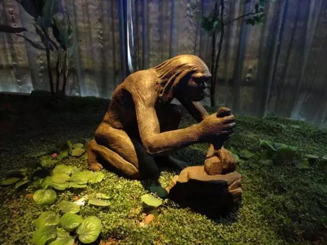 新韵律诗歌梦起东方人类故乡