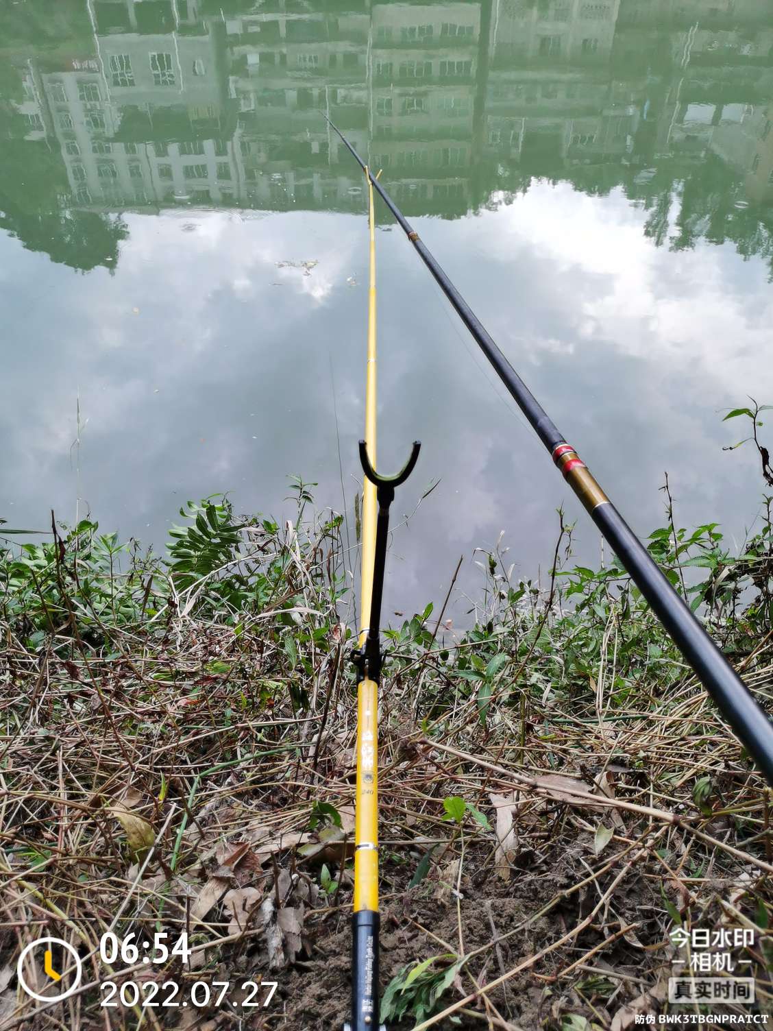 「七月鱼获」骗最憨的巨草！上最憨的洋当