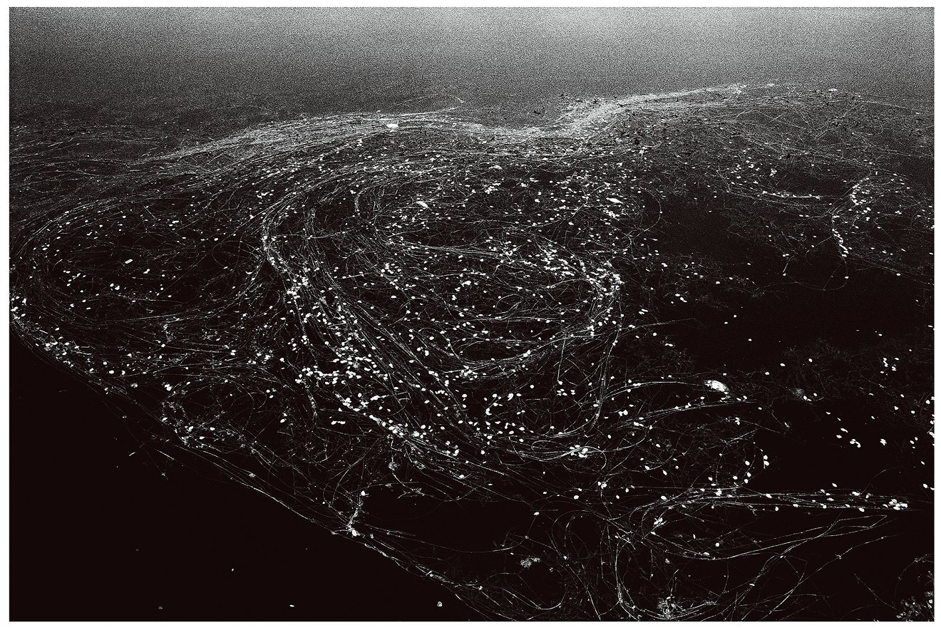 星空中的凝视,风中凝眸