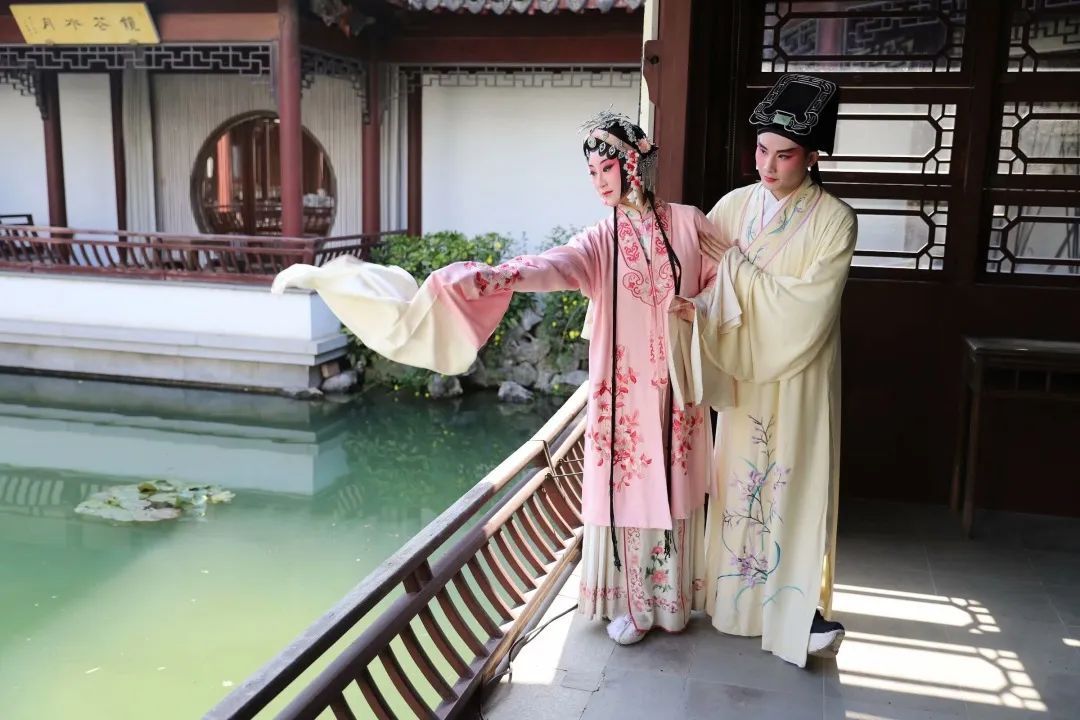 苏州赏花旅游攻略一日游,苏州花海旅游攻略