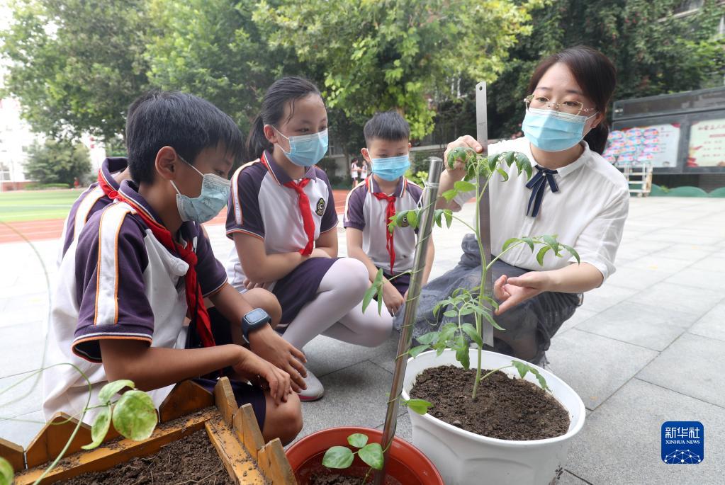 缤纷暑假主题绘画,缤纷暑假绘画简单漂亮