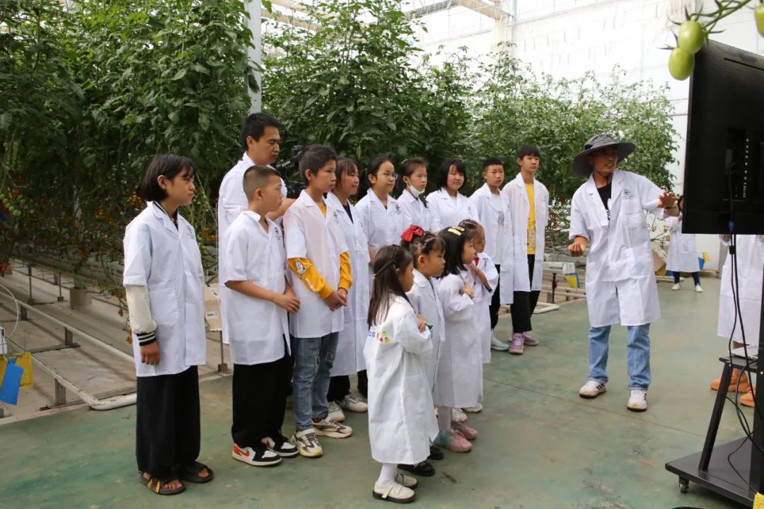 大理弥渡数字农业公园抖音团购,大理弥渡数字农业公园优惠