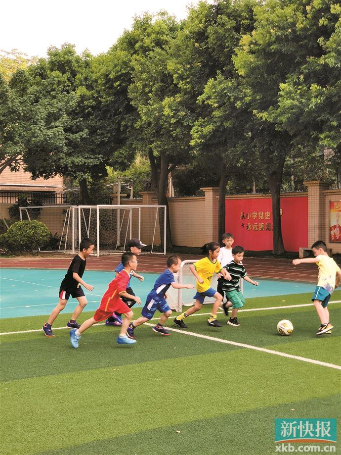 双减政策之后的双增政策是什么,双减一周年