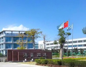 王冬雷事件,王冬雷被抓