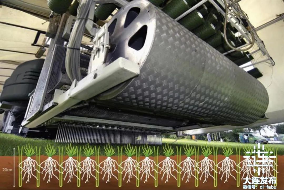 大连梭鱼湾足球场屋顶,大连梭鱼湾足球场炫酷灯光