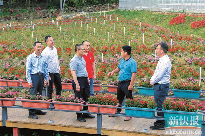 一二三产业不断融合发展,一二三产齐头并进