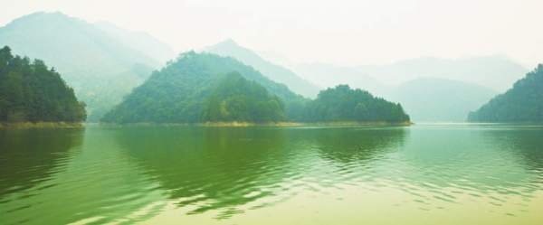 落地“开花”绿满川——看永新如何从林长制向林长治华丽转身