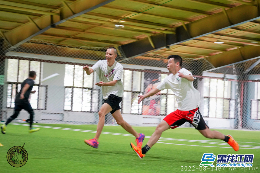 从名不见经传到网红打卡点,飞盘为何一夜爆红