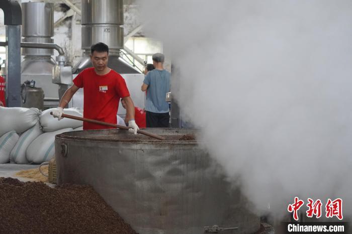 陇南徽县非遗传承,甘肃陇南非遗