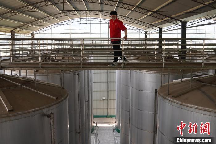 陇南徽县非遗传承,甘肃陇南非遗