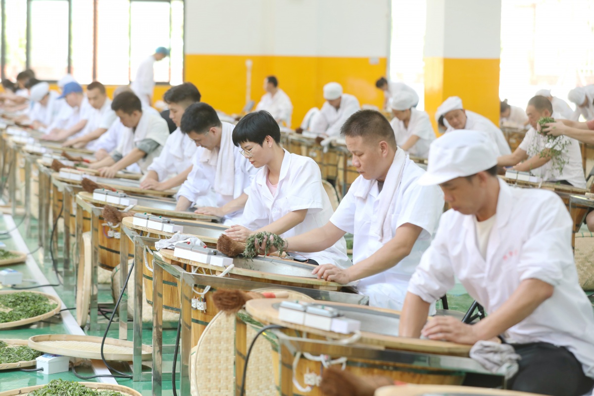 最美中国广西美景,大美中国广西贵港视频