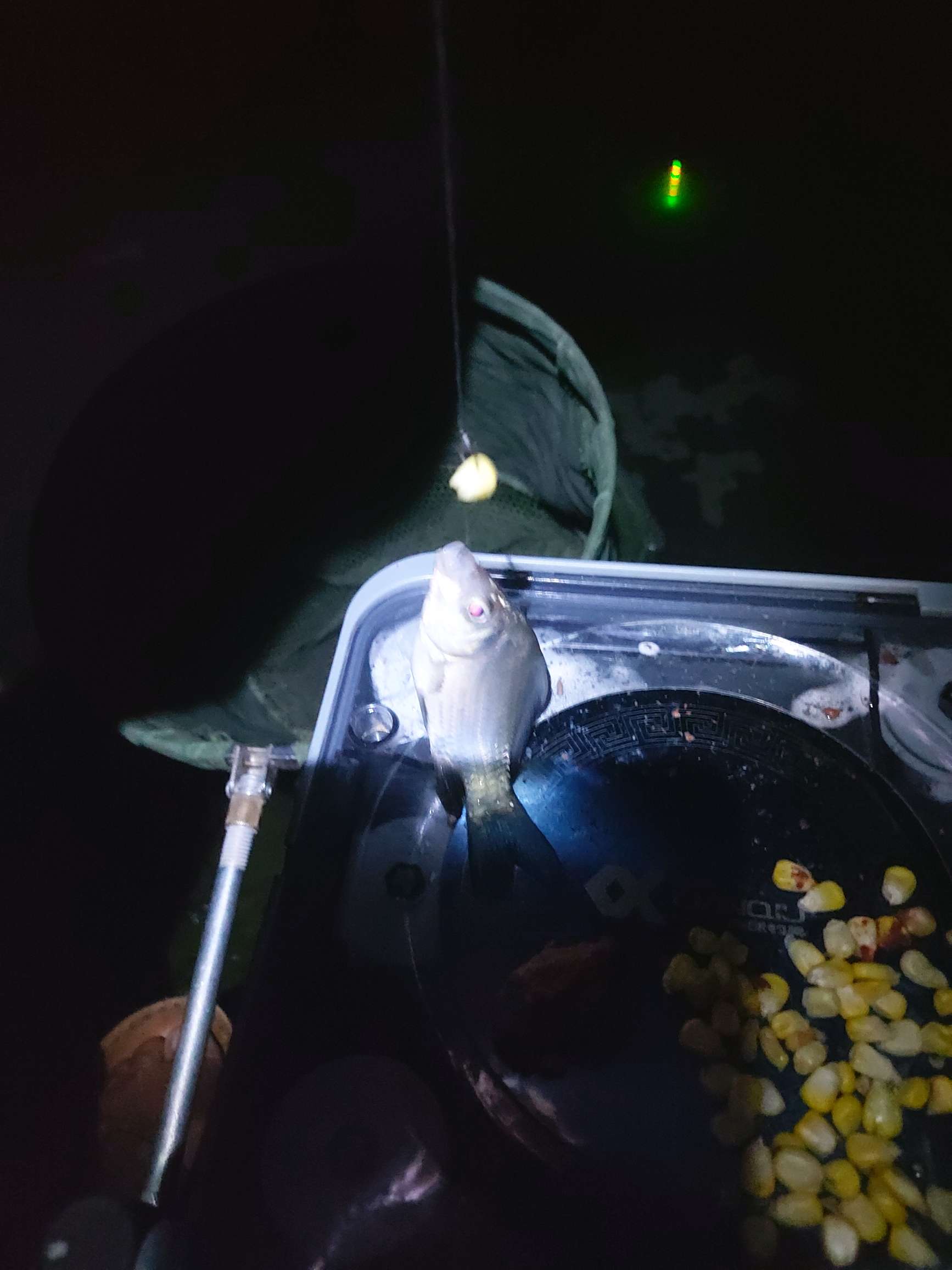 提前做“功课”，果然是不虚此行