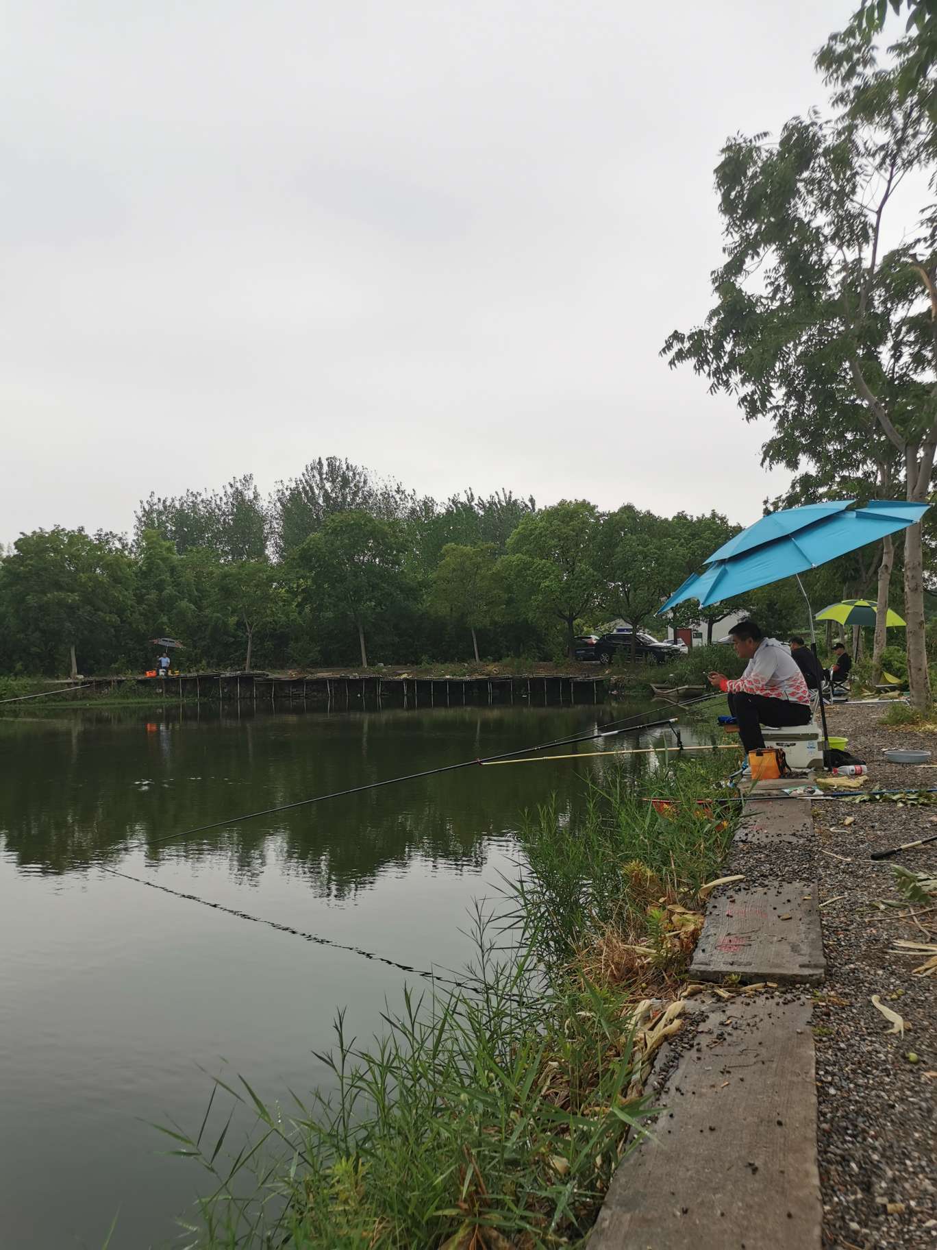 「浮钓2095」2095初显成效！野钓、黑坑果然通杀