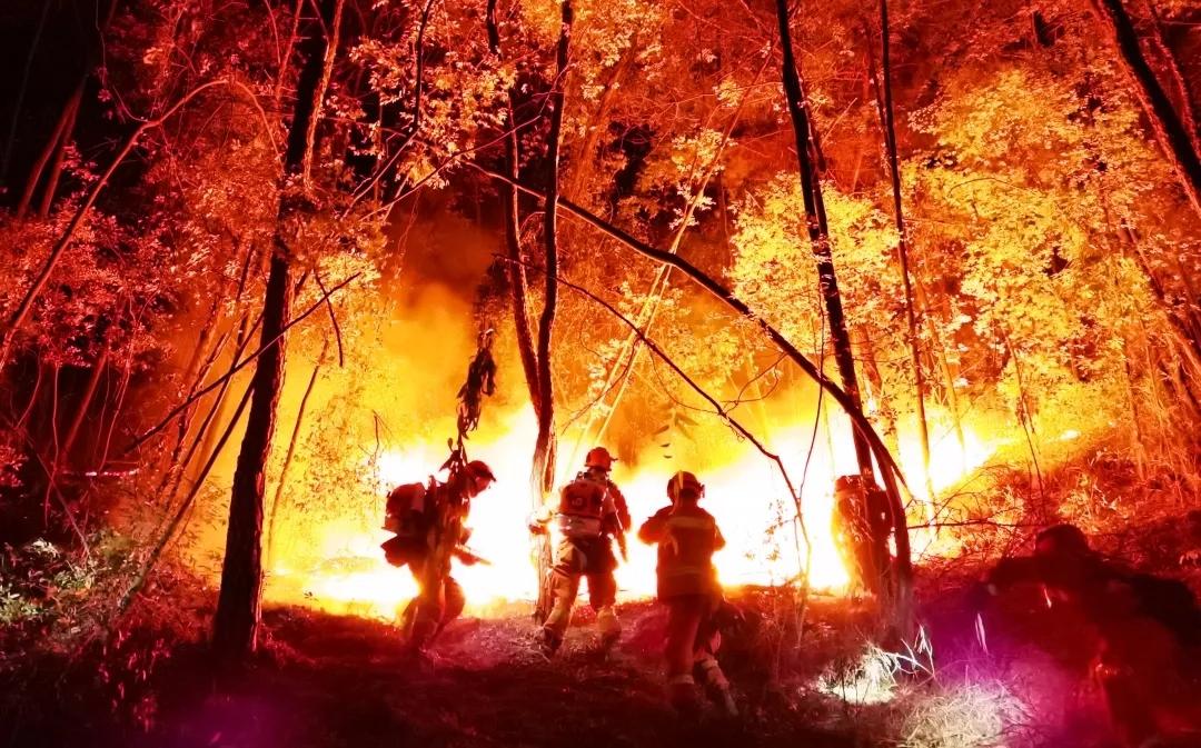 临危不惧全力以赴扑救山火,义不容辞赴前线