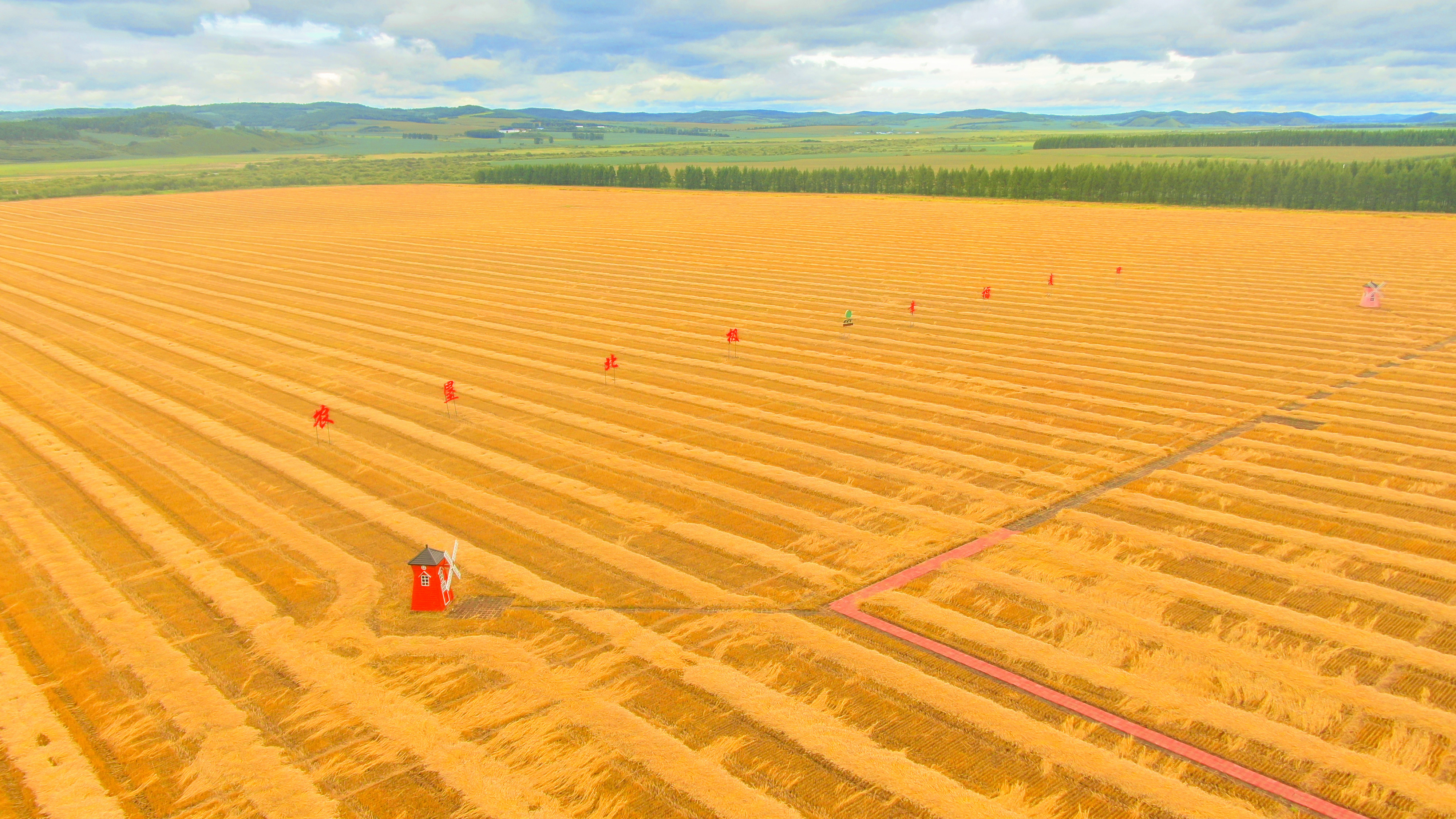 从产业链向区块经济发展“幸福麦田”的延伸……