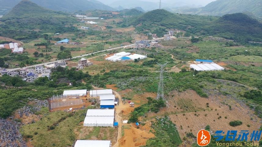 黑皮鸡枞菌产业扶贫基地,永州市江华县鸡枞菌