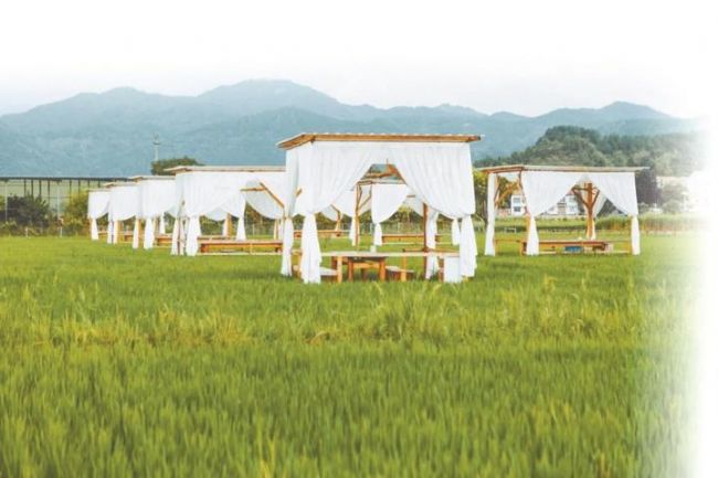 黄梅乡村振兴战略指挥部成员,黄梅县乡村振兴示范村