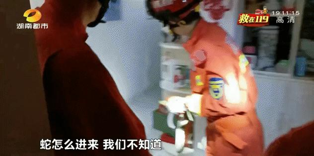 居民凌晨上厕所发现大蛇,凌晨上厕所发现卧室惊现2米大蛇