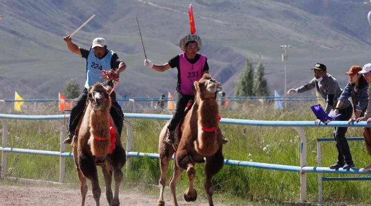 肃南赛马会现场直播,肃南裕固族自治县赛马