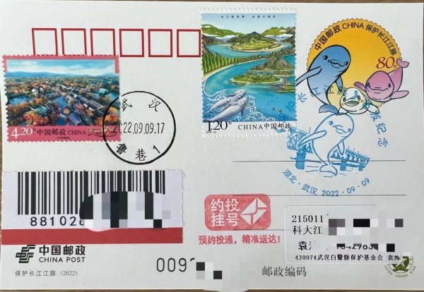 寄一只“江豚”给你，请查收