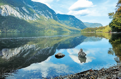 踏上斯洛文尼亚留学路