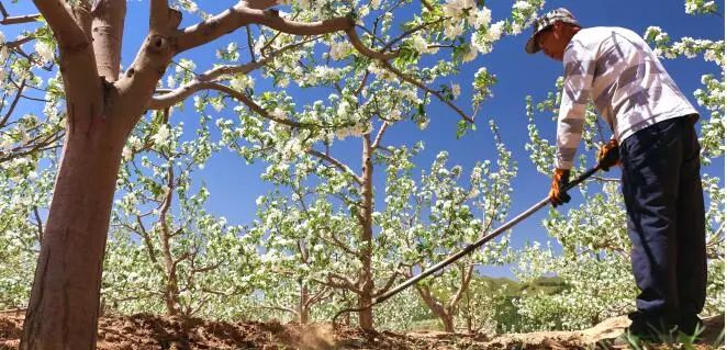 一路向北陕西,一路向北陕西之行