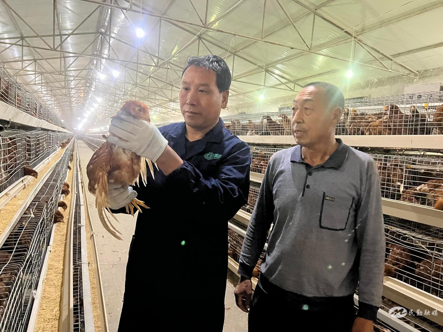 介绍养殖致富带头人的典型案例,养殖业发家致富带头人