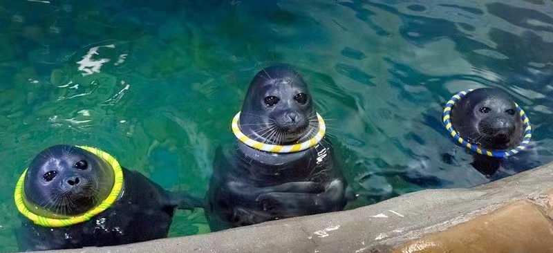 李健贝加尔湖畔的传奇,用心聆听李健贝加尔湖畔