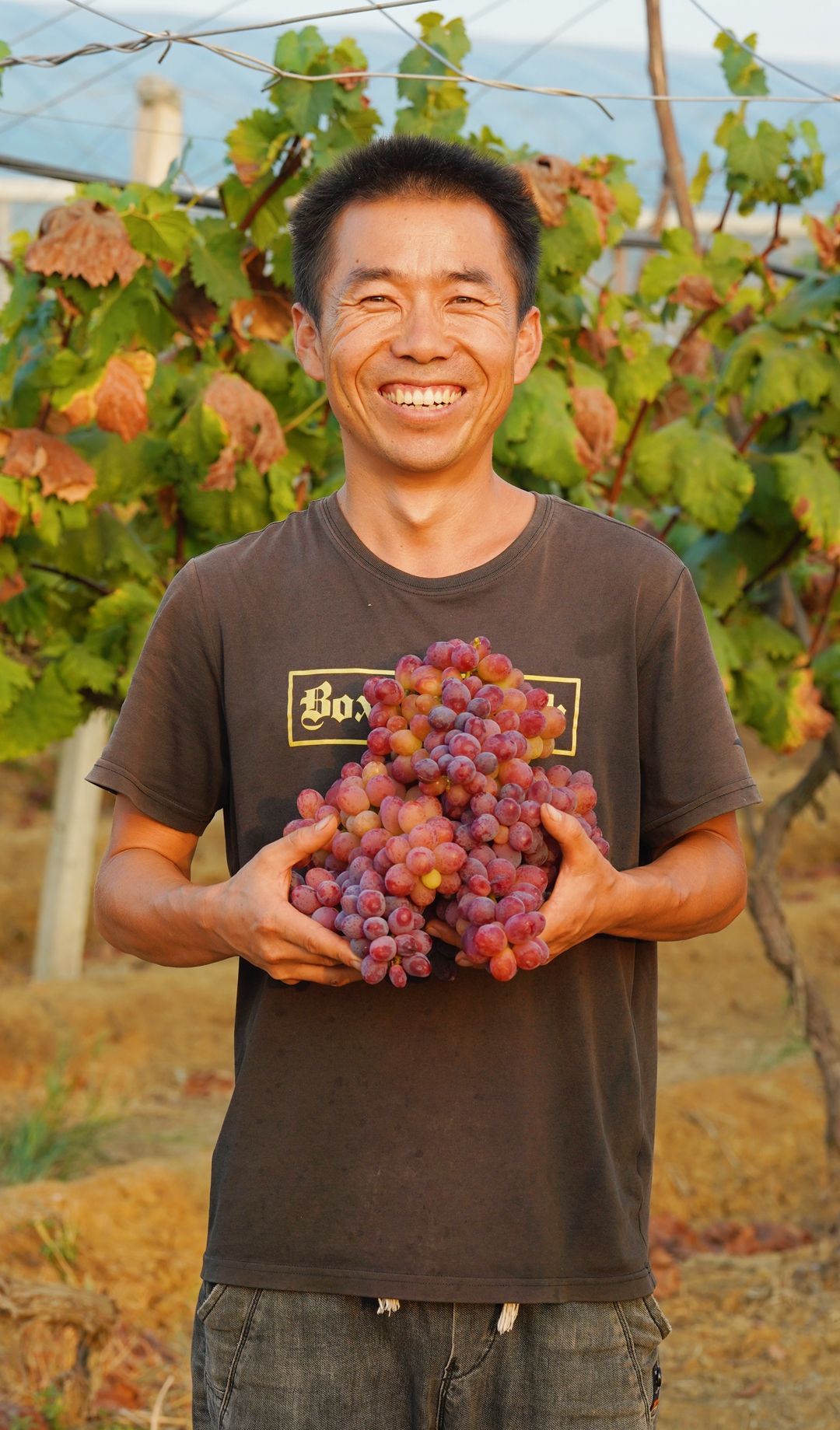 寻秋鄂城｜奋进泽林，勇毅前行