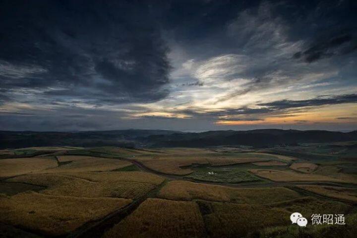 昆明最美的秋天,别眨眼带你看花海