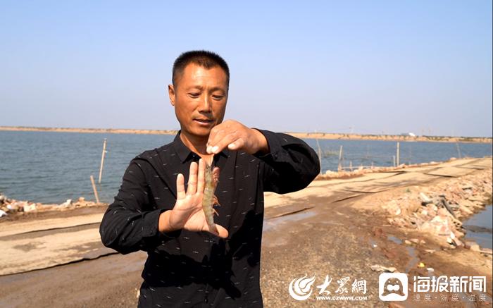 国庆里的丰收季丨盐水田里长甜虾！这个“十一”虾农老谭丰收忙