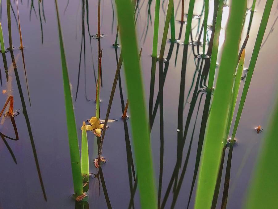 山东十大最美校园,山东最美校园大学