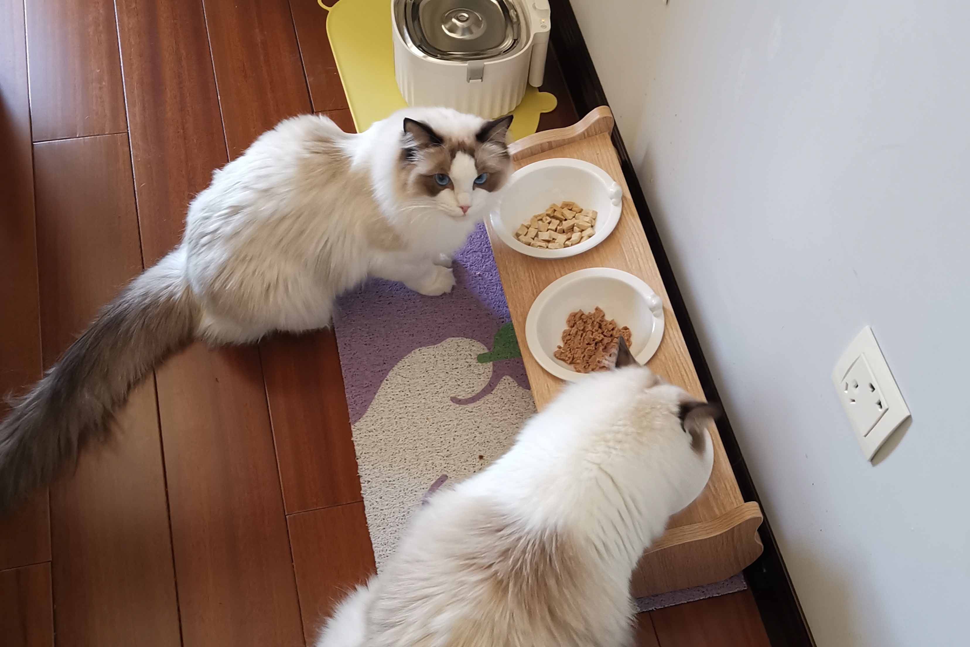 婚庆公司兼职化妆师,宠托师在哪里兼职