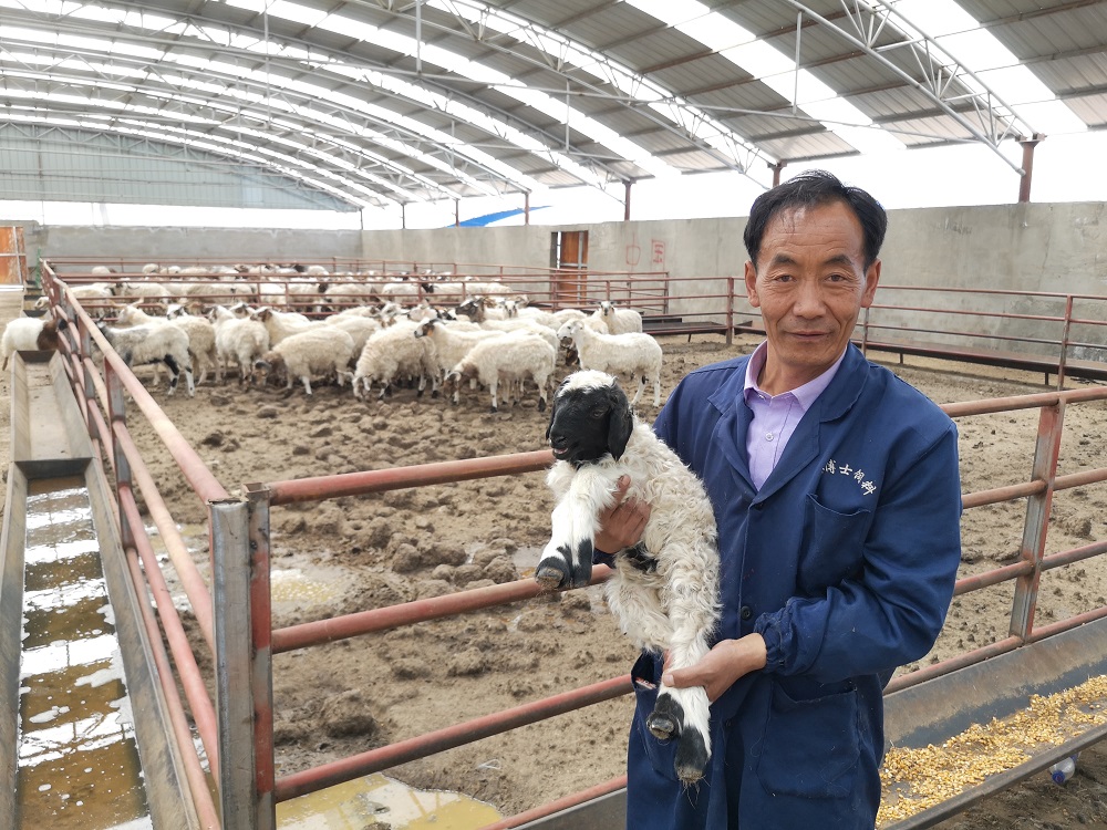 脱贫致富的年轻支书,发家致富领头人