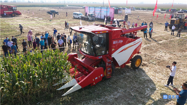 山东哪里的玉米最好,山东玉米高产前十名